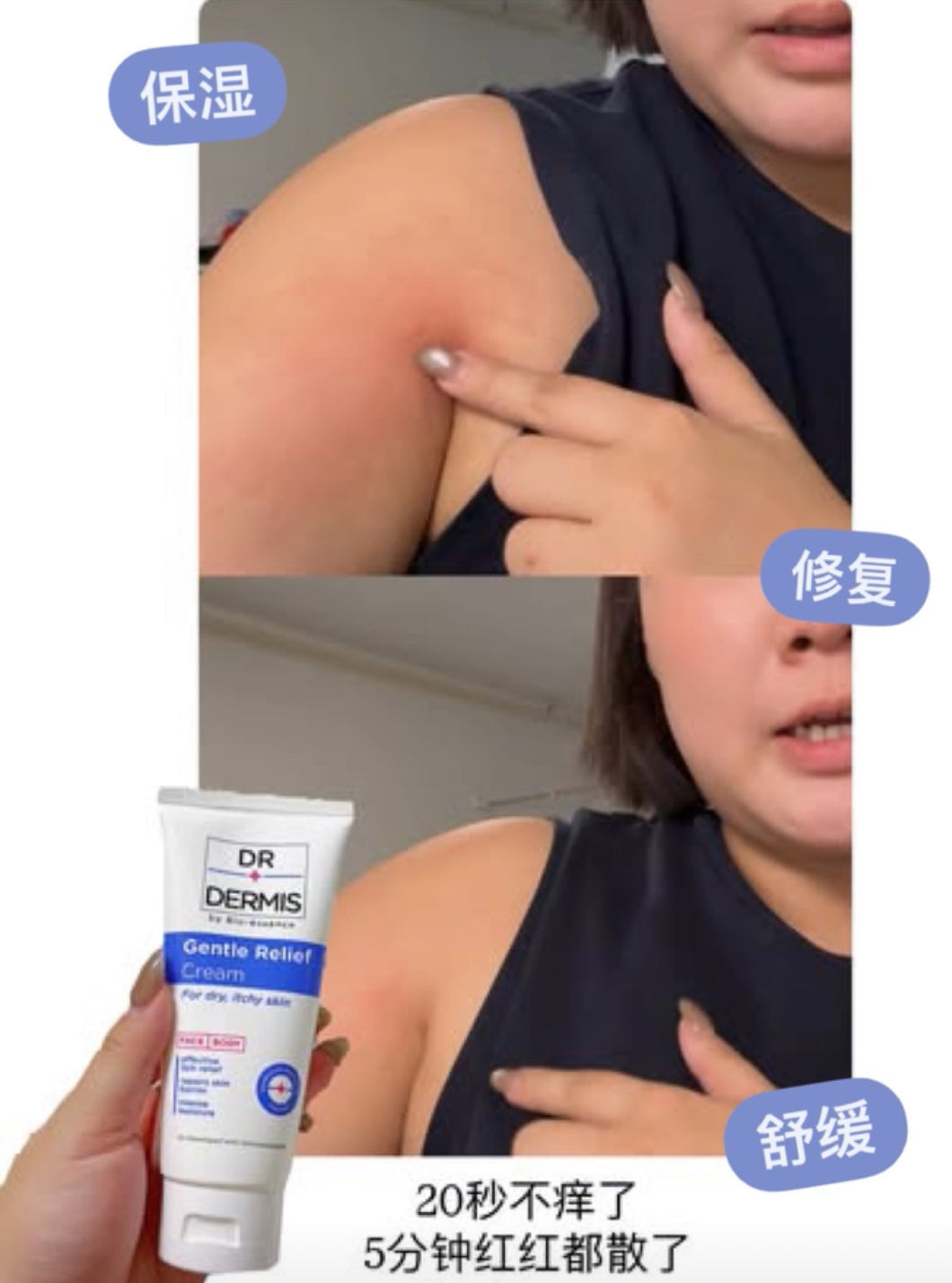 💙 DR DEMIS 效果图