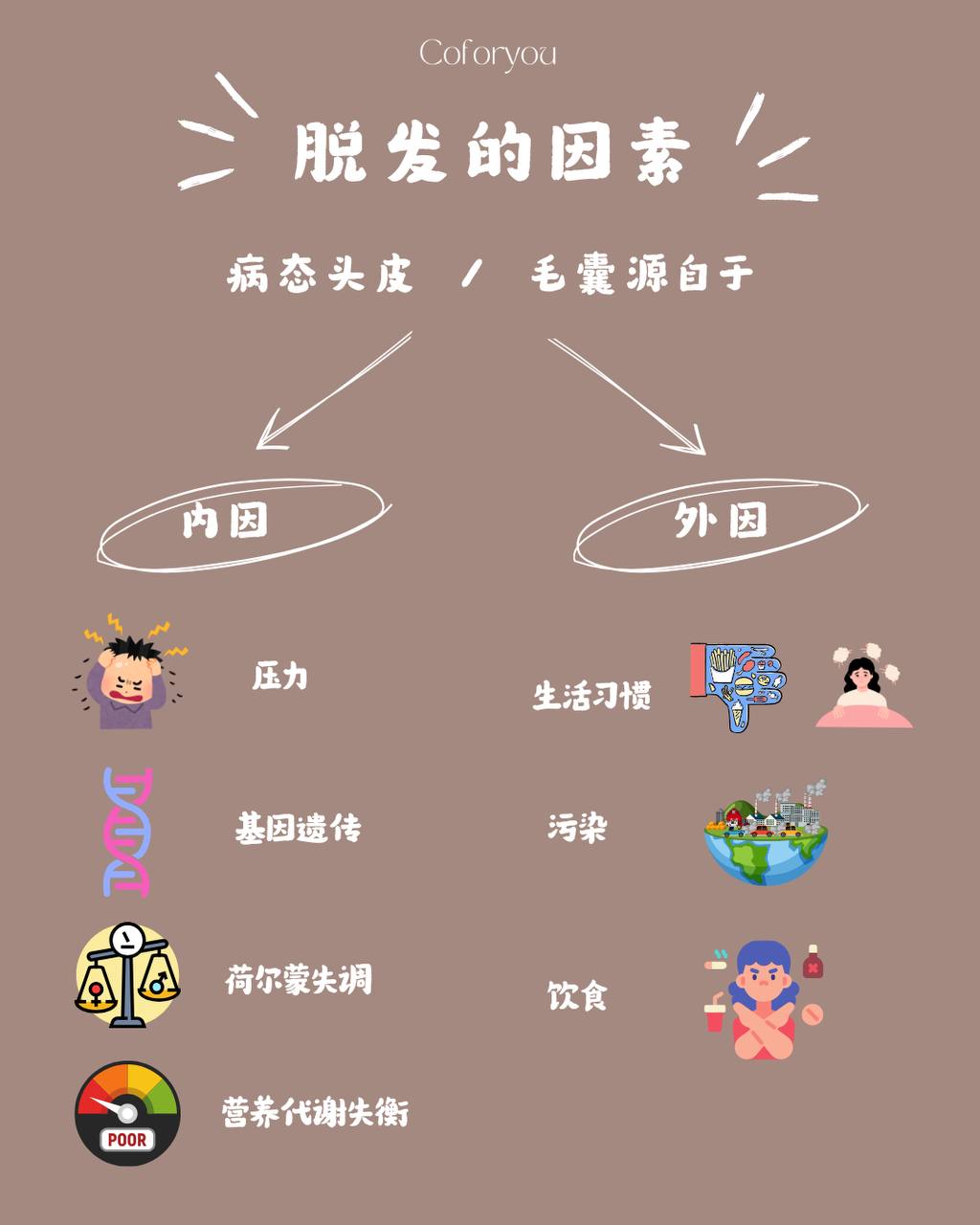 🧐 带你找出脱发的原因 ｜🌿 Devie 头皮养护哲学：清・调・补