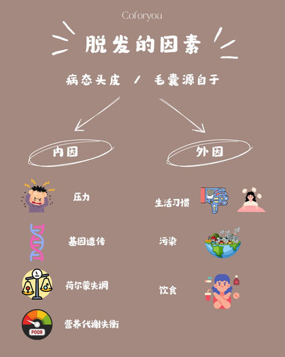 🧐 带你找出脱发的原因 ｜🌿 Devie 头皮养护哲学：清・调・补